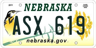 NE license plate ASX619