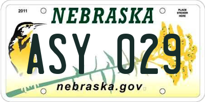 NE license plate ASY029
