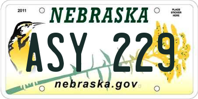 NE license plate ASY229