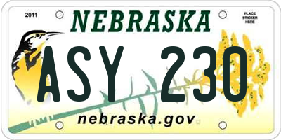NE license plate ASY230