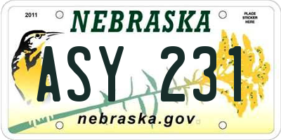 NE license plate ASY231
