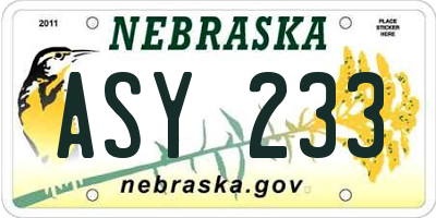 NE license plate ASY233