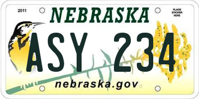 NE license plate ASY234