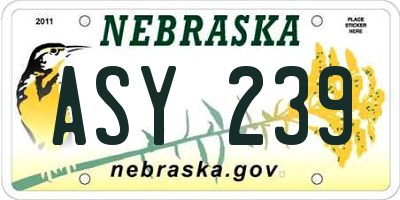 NE license plate ASY239