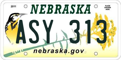 NE license plate ASY313