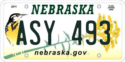 NE license plate ASY493