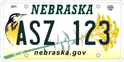 NE license plate ASZ123
