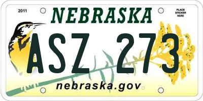 NE license plate ASZ273