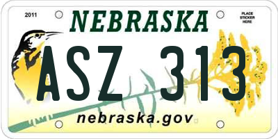 NE license plate ASZ313