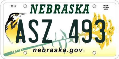 NE license plate ASZ493