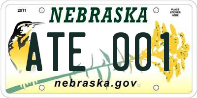 NE license plate ATE001