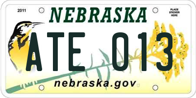 NE license plate ATE013