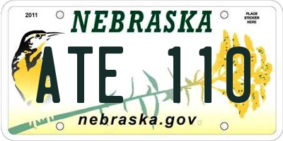 NE license plate ATE110