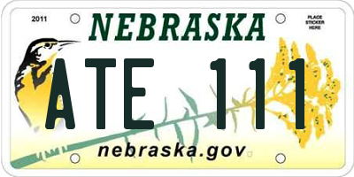 NE license plate ATE111