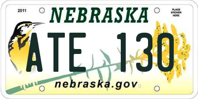 NE license plate ATE130