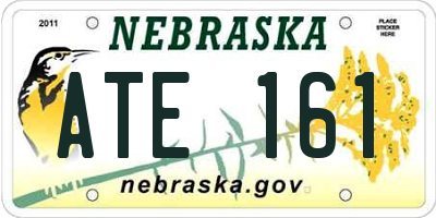 NE license plate ATE161