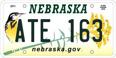 NE license plate ATE163
