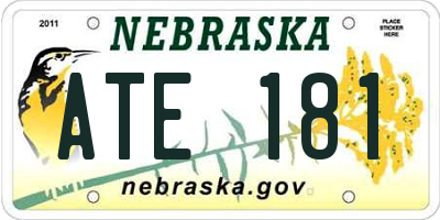 NE license plate ATE181