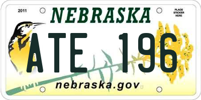 NE license plate ATE196