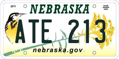 NE license plate ATE213
