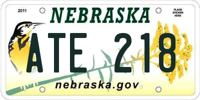 NE license plate ATE218