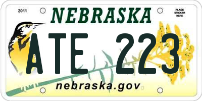 NE license plate ATE223