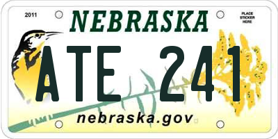 NE license plate ATE241