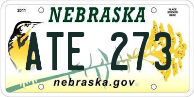 NE license plate ATE273