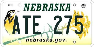 NE license plate ATE275