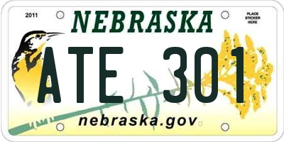 NE license plate ATE301
