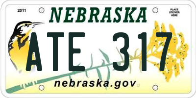 NE license plate ATE317