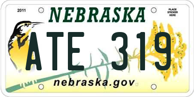 NE license plate ATE319