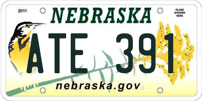 NE license plate ATE391
