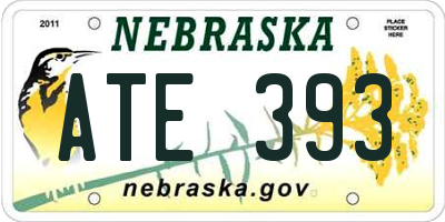 NE license plate ATE393