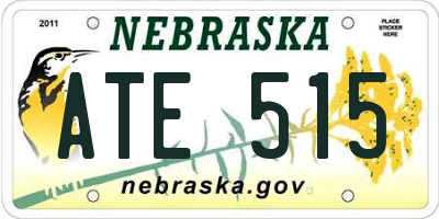 NE license plate ATE515