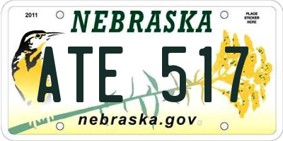 NE license plate ATE517