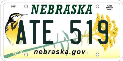 NE license plate ATE519