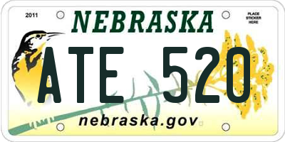 NE license plate ATE520