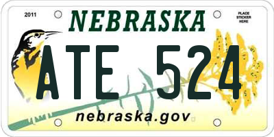 NE license plate ATE524