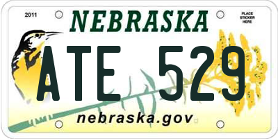 NE license plate ATE529