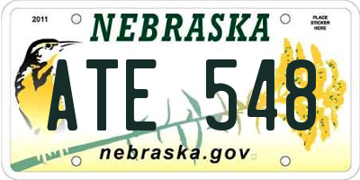 NE license plate ATE548