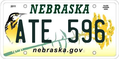 NE license plate ATE596