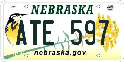 NE license plate ATE597
