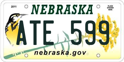 NE license plate ATE599