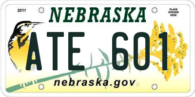 NE license plate ATE601