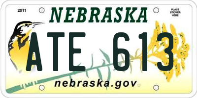 NE license plate ATE613