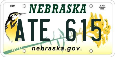 NE license plate ATE615