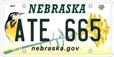 NE license plate ATE665