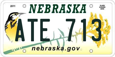 NE license plate ATE713