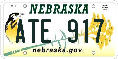 NE license plate ATE917